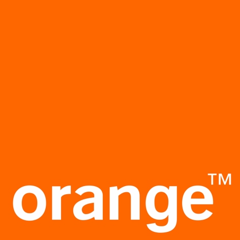 P13.LogoOrange