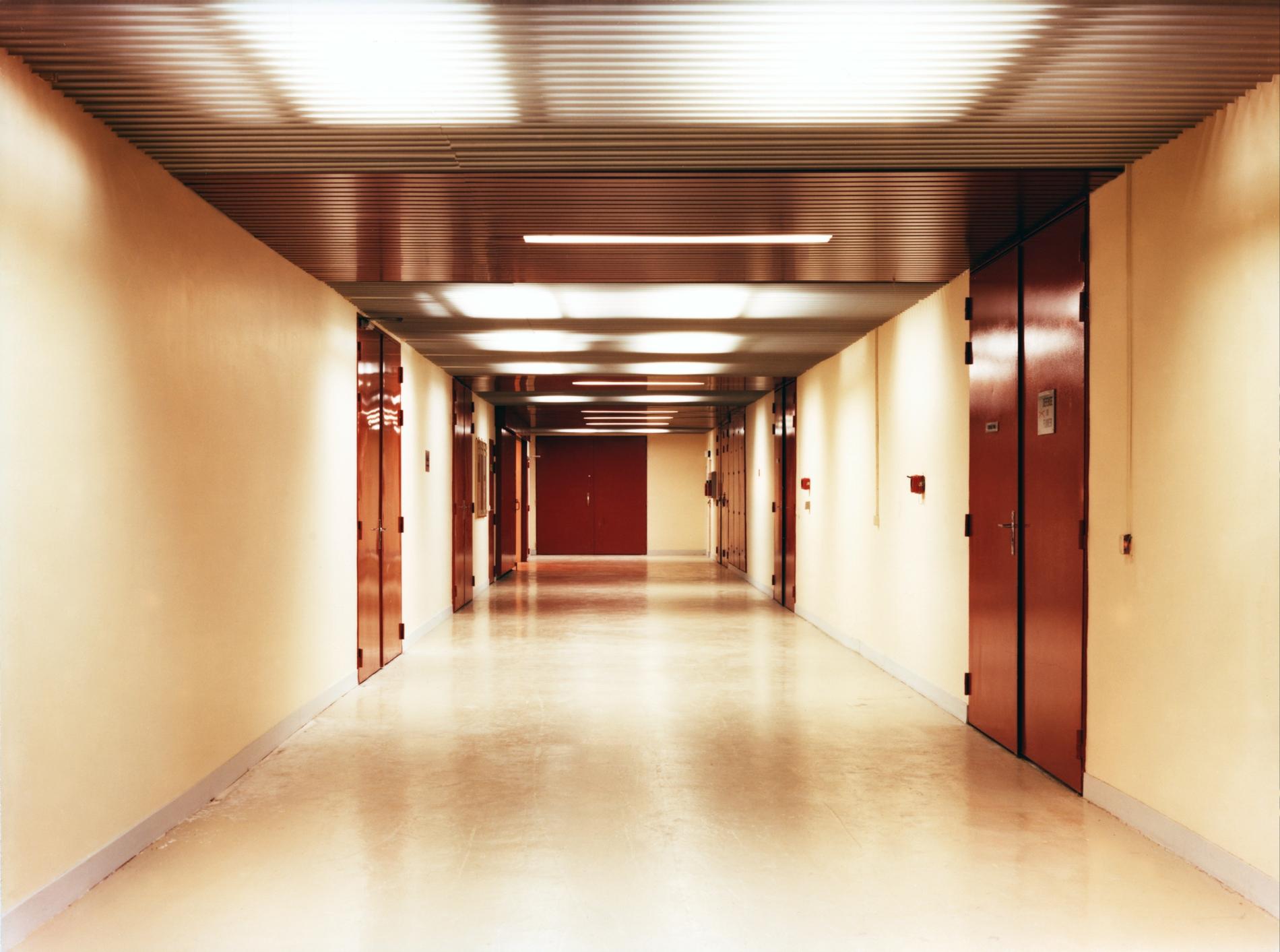 1981.01.27CevCoulZoneTechnique