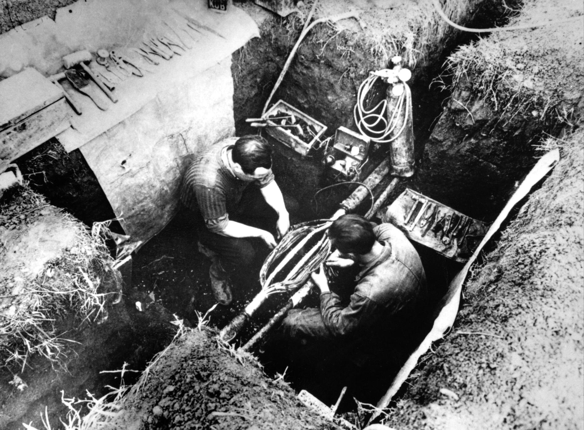 1955EpissureSurCableInterurbain